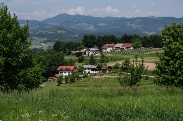 8. maj - zaključek U3 - foto