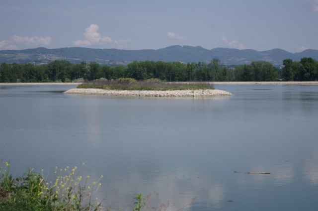 9. maj - ob akumulacijskem jezeru Save. - foto