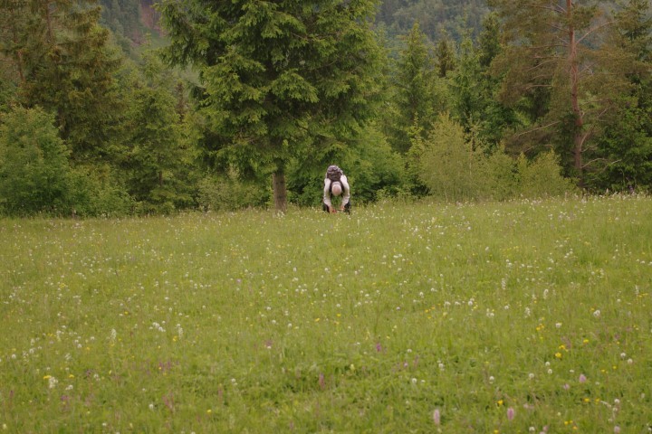 23. maj - barvna presenečenja v okolici - foto povečava