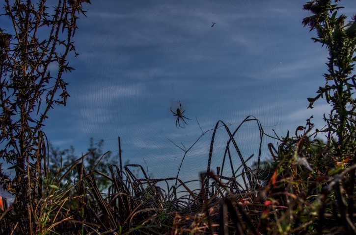 12. september - foto povečava