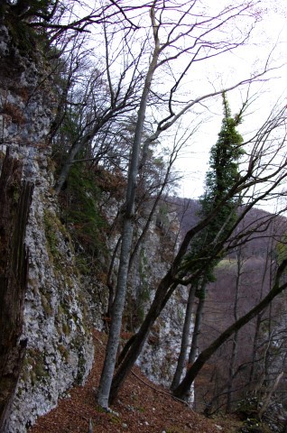 5. 12. Pod Velikim Kozjem - foto
