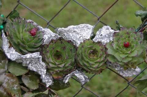 5. 12. Pod Velikim Kozjem - foto