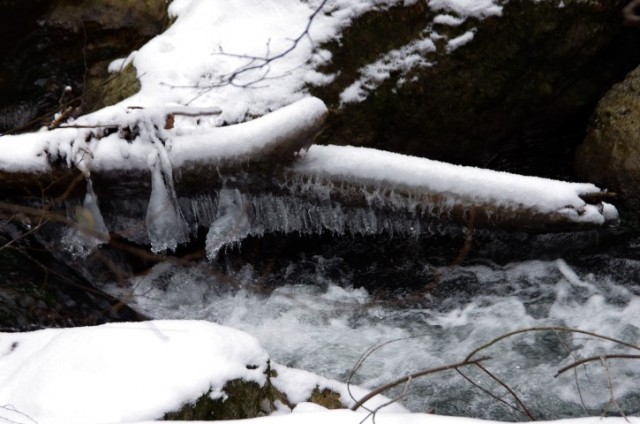 9. januar 2019 - ob Gračnici - foto