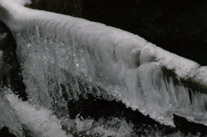 9. januar 2019 - ob Gračnici - foto povečava