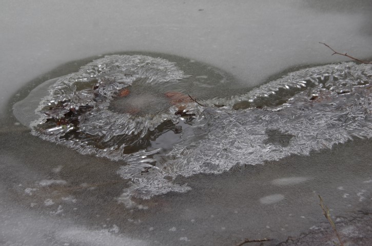 9. januar 2019 - ob Gračnici - foto povečava