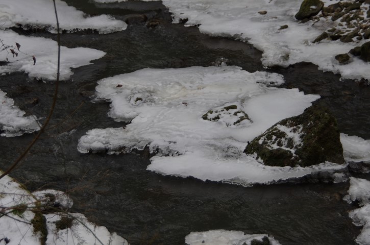 9. januar 2019 - ob Gračnici - foto povečava