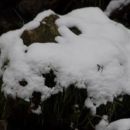 24. januar 2019 - zima