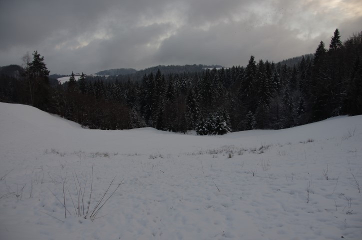 29. januar 2019 pinože .... pinože.... - foto povečava