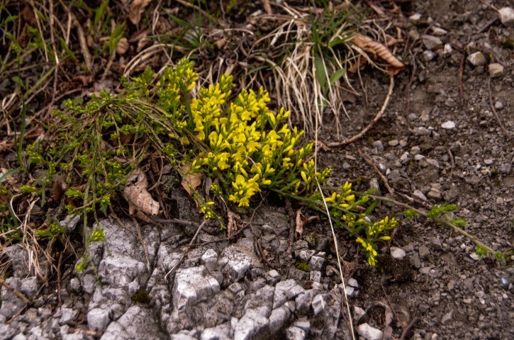 10. april. 2019 - foto povečava