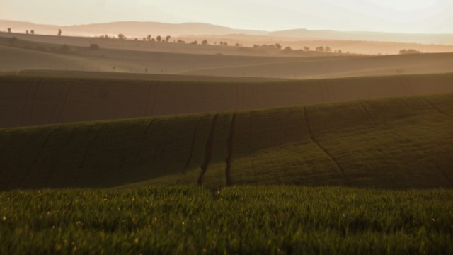 7. maj 2019 - foto