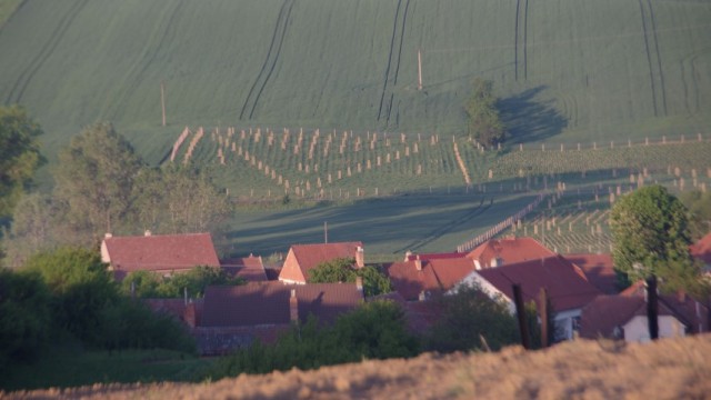7. maj 2019 - foto