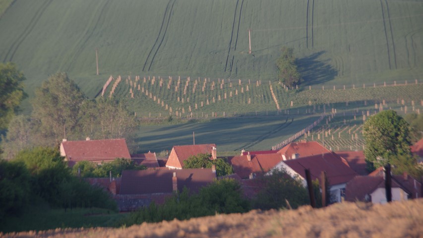 7. maj 2019 - foto povečava