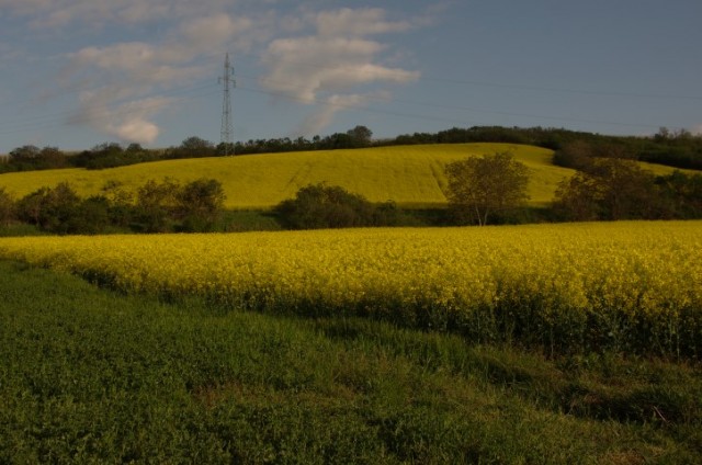 7. maj 2019 - foto