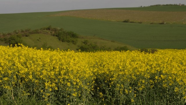 7. maj 2019 - foto