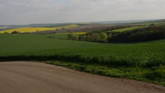 7. maj 2019 - foto