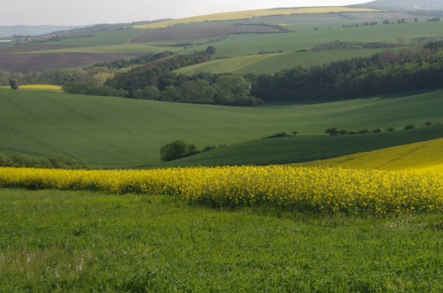 7. maj 2019 - foto