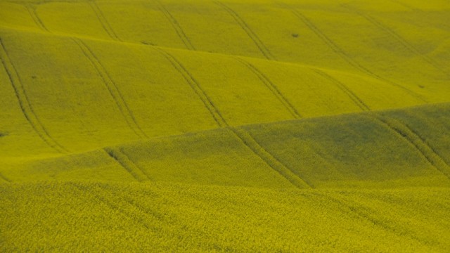 7. maj 2019 - foto