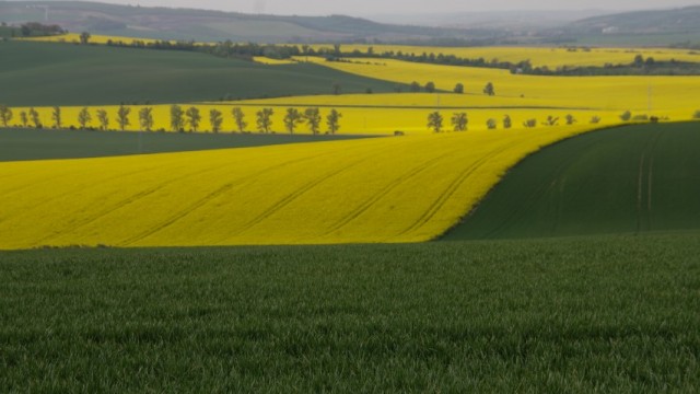 7. maj 2019 - foto