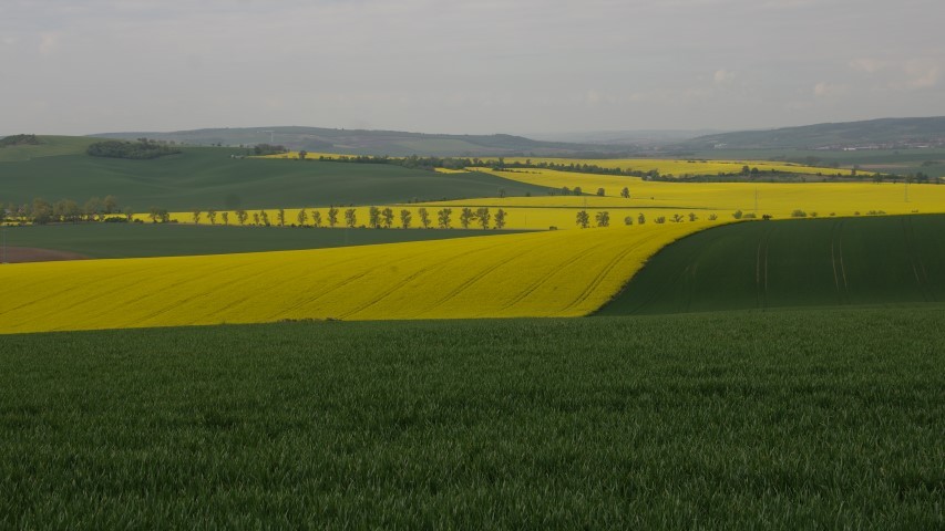 7. maj 2019 - foto povečava