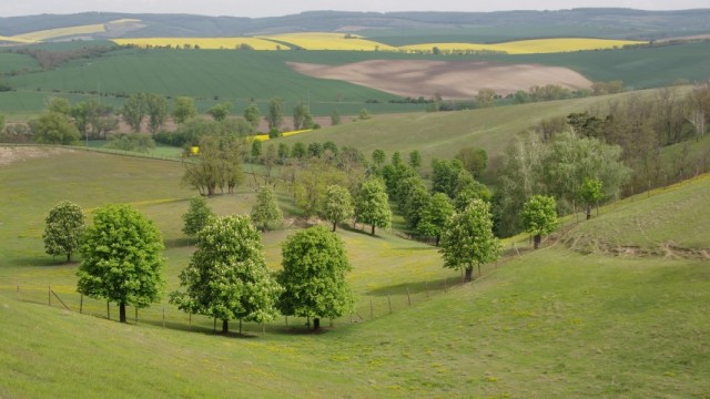 7. maj 2019 - foto