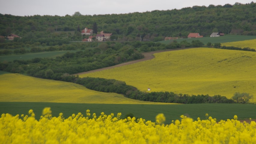 7. maj 2019 - foto povečava