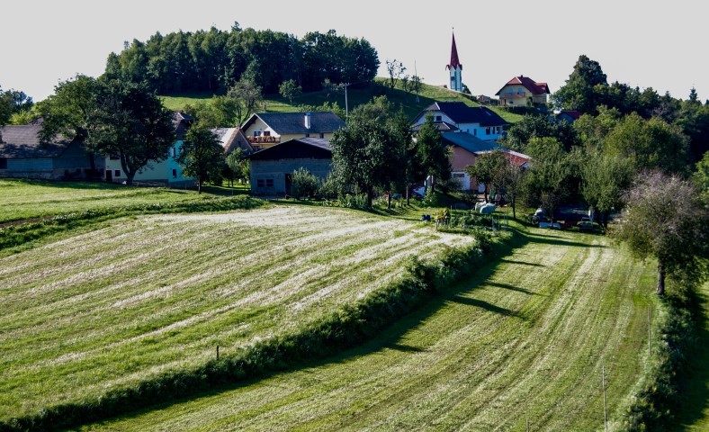 4. september - foto povečava