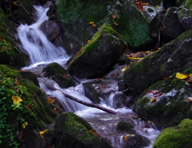 16. oktober 2019 - foto povečava