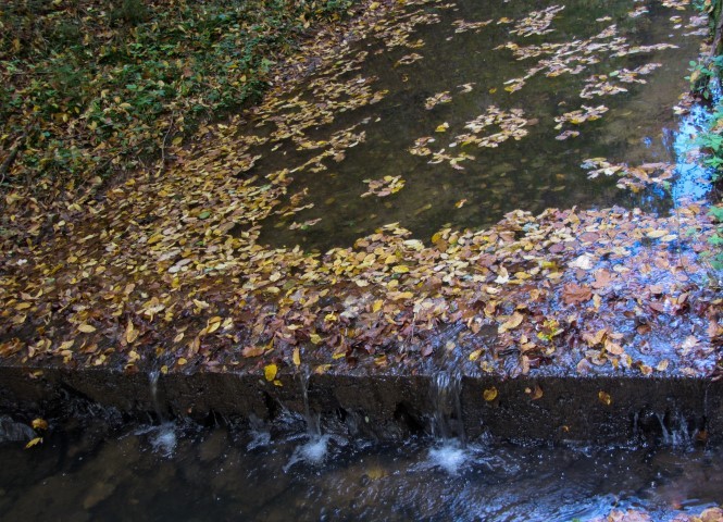 17. oktober 2019 - foto povečava