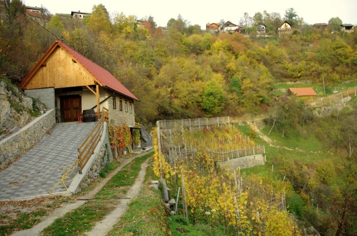 25. oktober 2019 - foto povečava