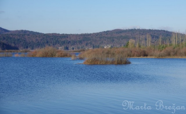 4. december - foto