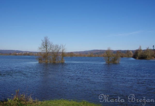 4. december - foto