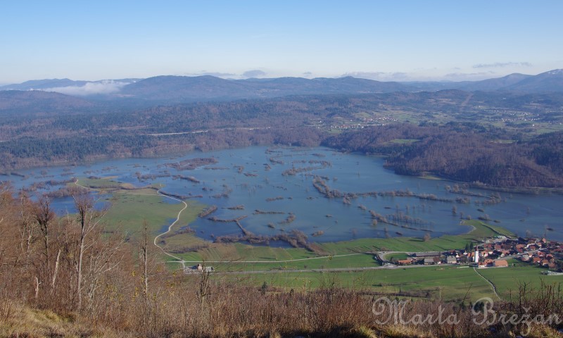 4. december - foto povečava