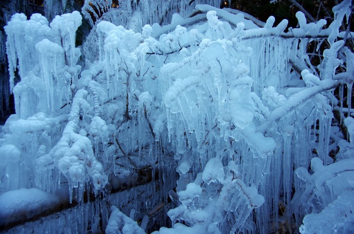 8. januar 2020 - foto povečava