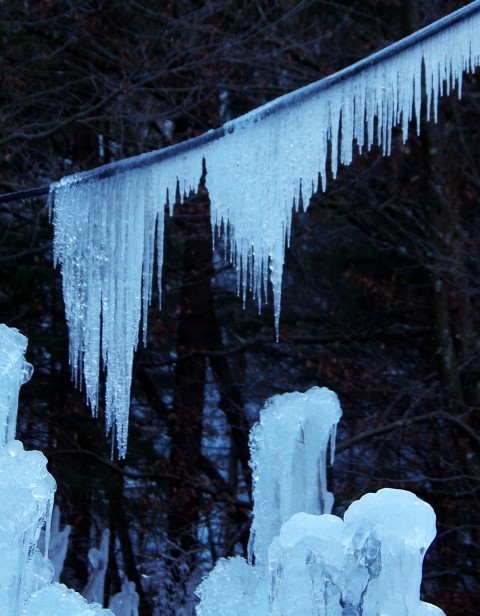 8. januar 2020 - foto