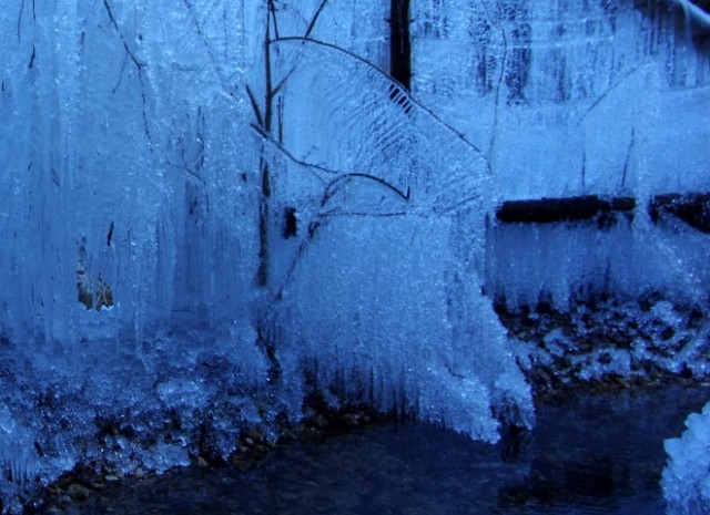 8. januar 2020 - foto