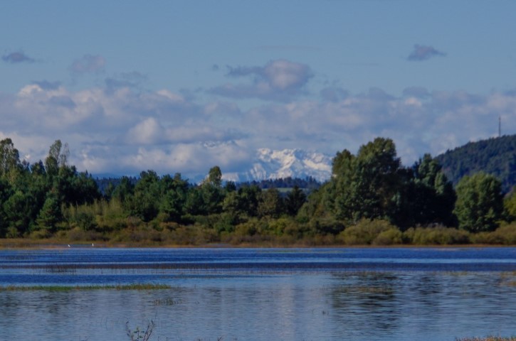 28. september 2020 popoldan - foto povečava