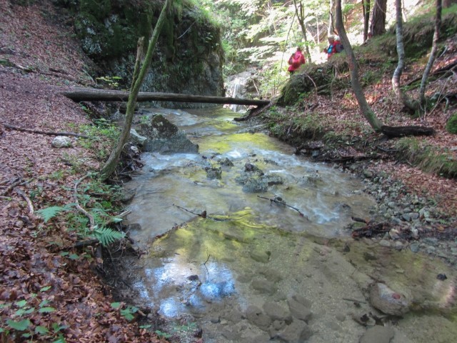 1. Oktober 2020 dopoldan - foto povečava