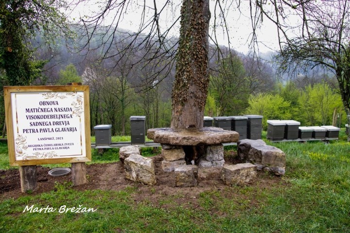 28. april 2021 - foto povečava