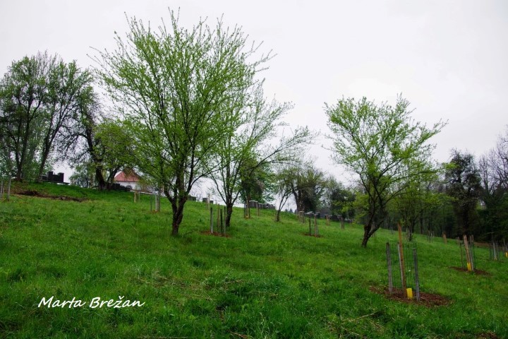 28. april 2021 - foto povečava