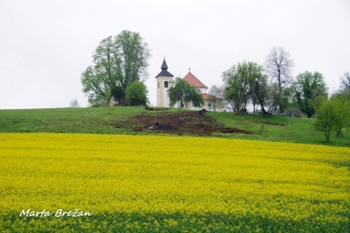 28. april 2021 - foto povečava