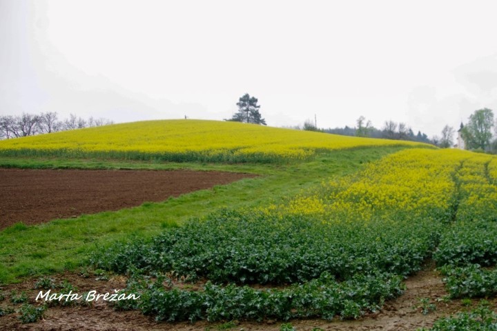 28. april 2021 - foto povečava