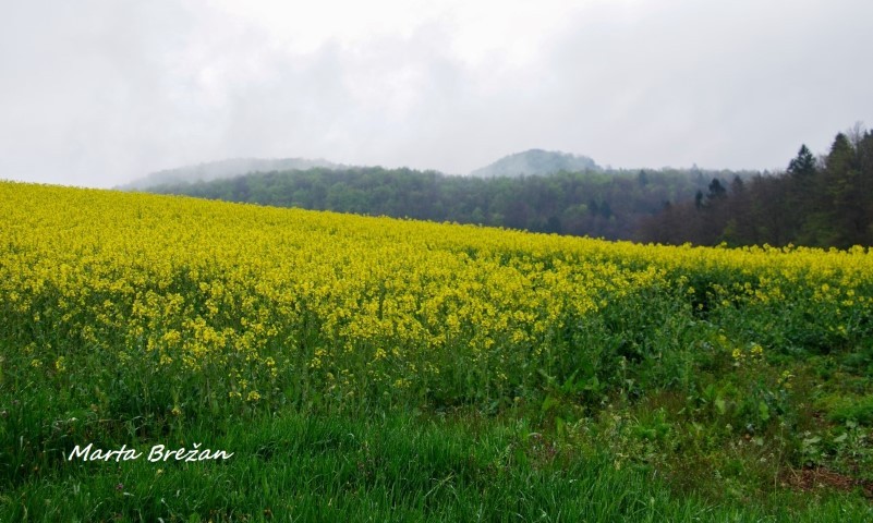 28. april 2021 - foto povečava