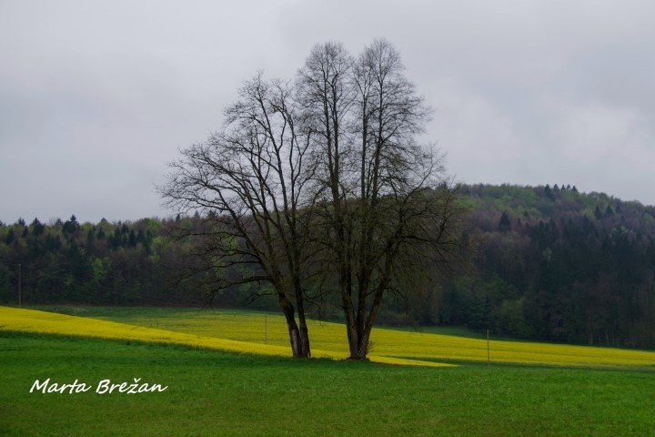 28. april 2021 - foto povečava