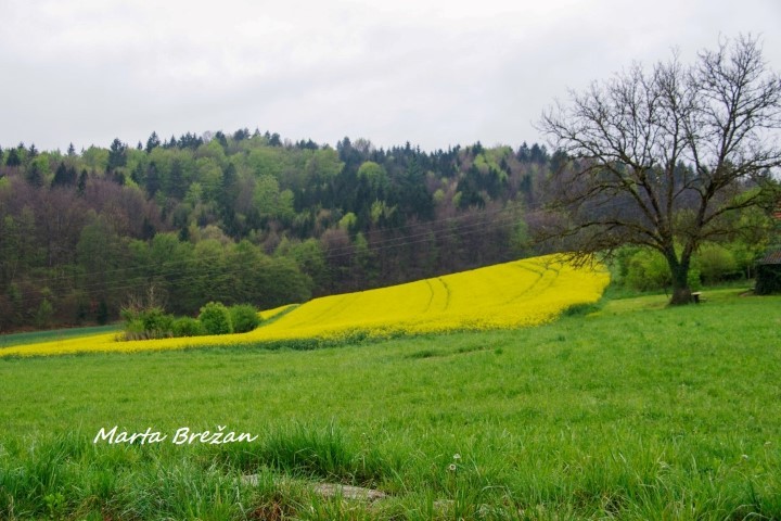 28. april 2021 - foto povečava