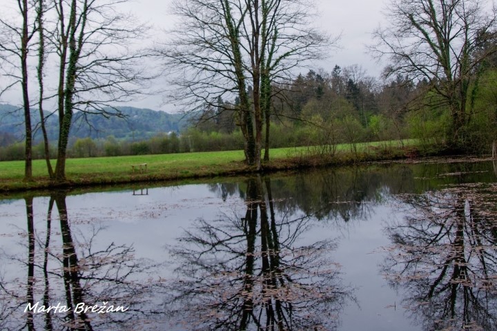 28. april 2021 - foto povečava