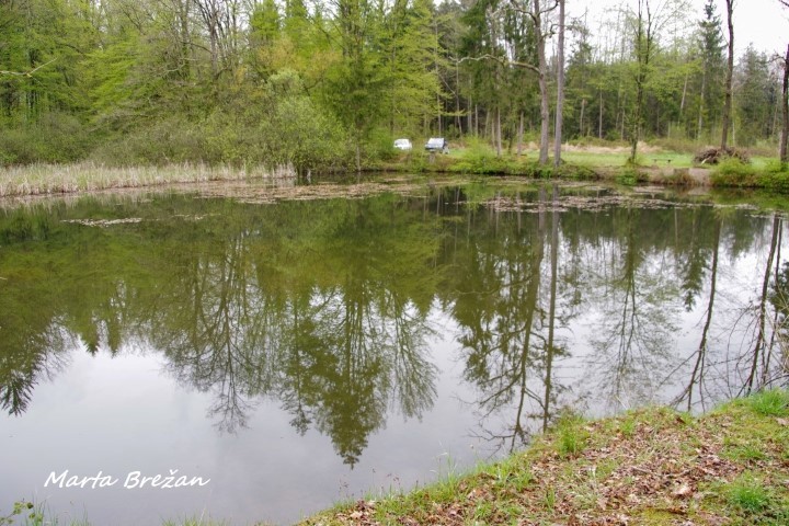 28. april 2021 - foto povečava