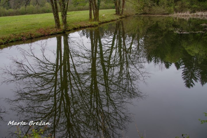 28. april 2021 - foto povečava
