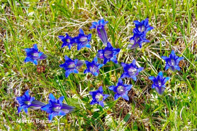 5. MAJ 2021 - foto