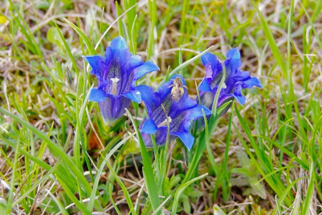 5. MAJ 2021 - foto