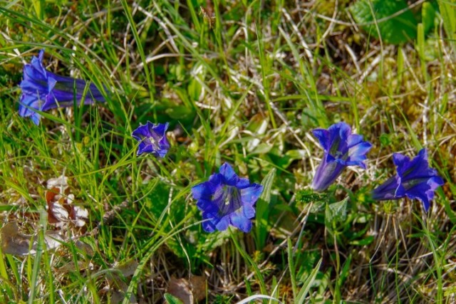 5. MAJ 2021 - foto
